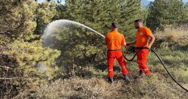 Karabük'te çıkan örtü yangınında 2 dekar alan hasar gördü