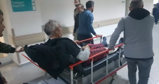 Karabük’te koyun otlatırken ayı saldırısına uğrayan 2 kişi yaralandı