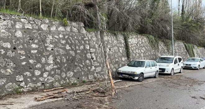 Karabük’te kuvvetli rüzgar nedeniyle devrilen ağaç araçlara zarar verdi