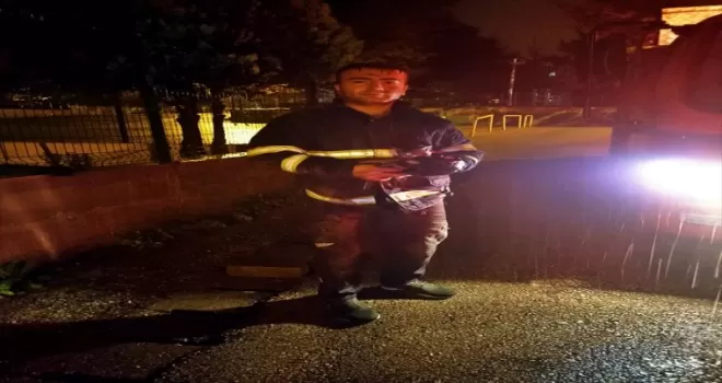 Karabük'te mazgal boşluğunda mahsur kalan kedi yavrusu kurtarıldı