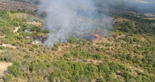 Karabük’te ormanlık alanda çıkan yangın söndürüldü
