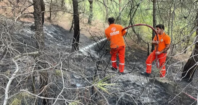 Karabük'te ormanlık alanda çıkan yangın söndürüldü
