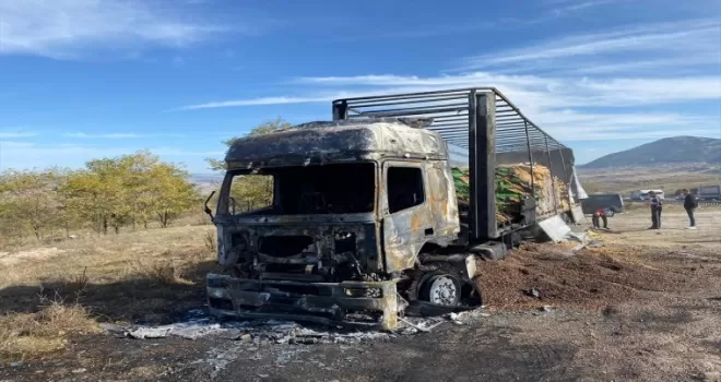 Karabük'te seyir halindeki fındık yüklü tır yandı