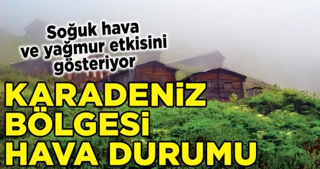 Karadeniz Bölgesi Hava Durumu (16 Aralık 2024 Pazartesi)