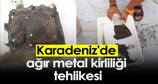 Karadeniz'de ağır metal kirliliği tehlikesi