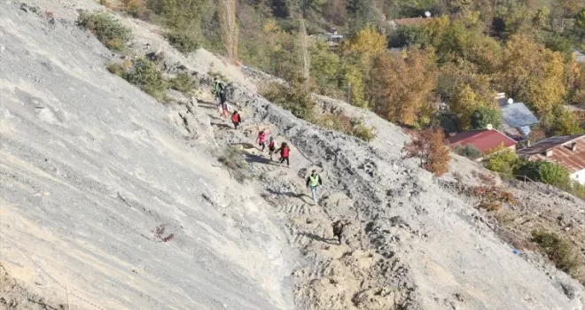 Karadeniz'de Milli Ağaçlandırma Günü'nde fidanlar toprakla buluşturuldu