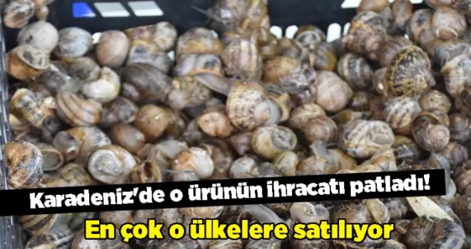 Karadeniz’de o ürünün ihracatı patladı! En çok o ülkelere satılıyor
