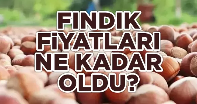 Karadeniz’de Son Fındık Fiyatları Ne? ; İşte O Fiyatlar!