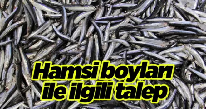 Karadeniz’deki balıkçılardan hamsi boyları ile ilgili talep