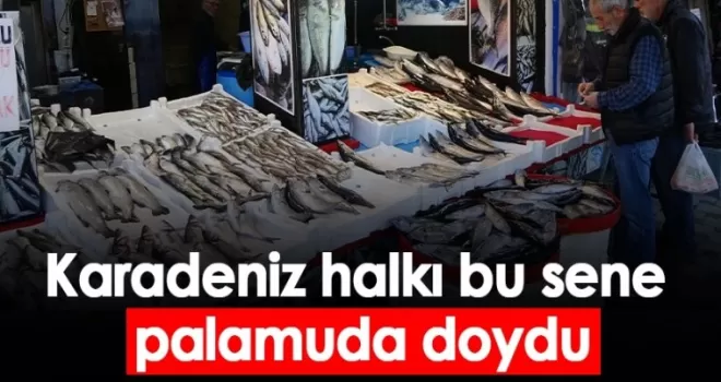 Karadeniz halkı bu sene palamuda doydu