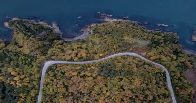 Karadeniz kıyısındaki ormanlarda sonbahar renkleri havadan görüntülendi