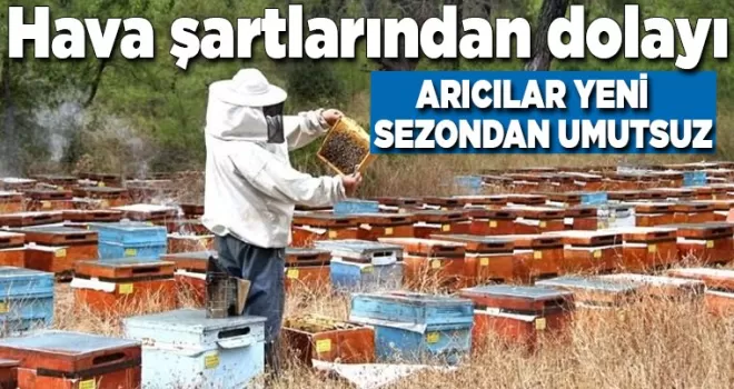 Karadenizli gezgin arıcılar umutsuz