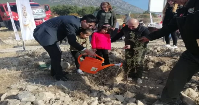 Kargı’da anaokulu öğrencileri fidan dikti