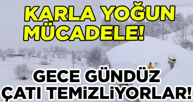 Karla Mücadele: Çatılarda Temizlik Seferberliği