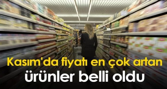 Kasım'da fiyatı en çok artan ürünler belli oldu