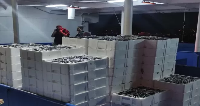 Kastamonu'da balıkçılar limana kasalar dolusu hamsiyle döndü
