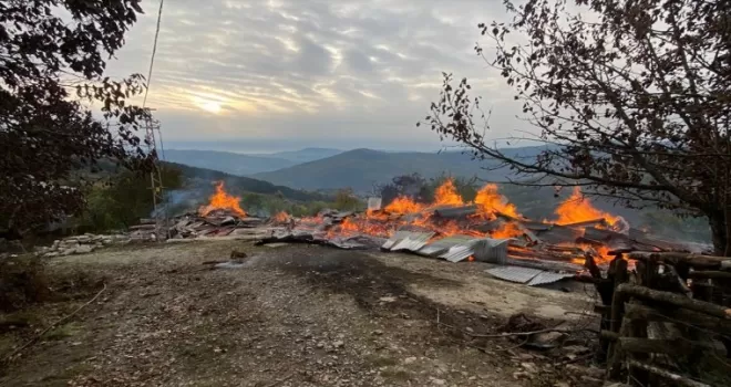 Kastamonu'da çıkan yangında 2 ahşap ev yandı