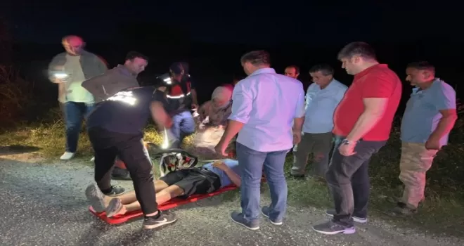 Kastamonu'da devrilen otomobilin sürücüsü yaralandı