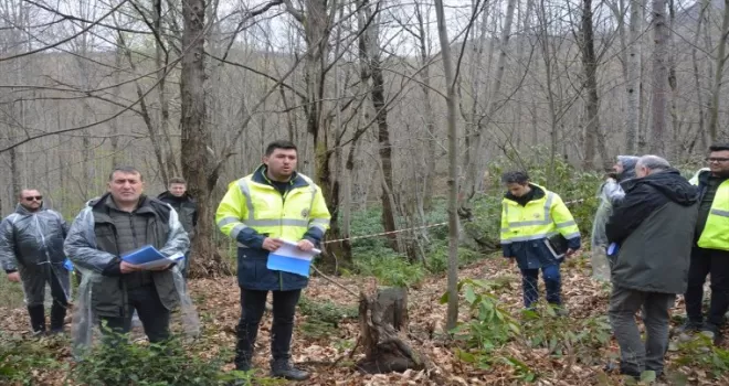 Kastamonu’da kestane ormanlarında üretimin artırılması hedefleniyor