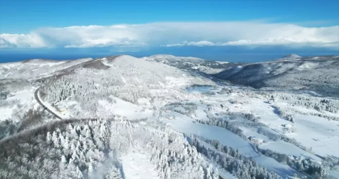 Kastamonu’da ormanlar beyaz örtüyle kaplandı
