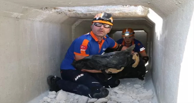 Kastamonu'da TAMP Saha Tatbikatı gerçekleştirildi