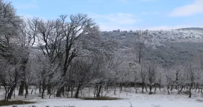 Kastamonu'da yüksek kesimlerde kar etkili oldu