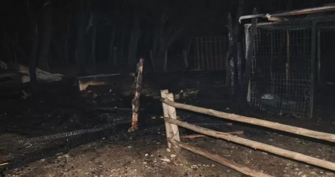 Kastamonu’daki ahır yangınında lama, midilli ve tavus kuşu öldü