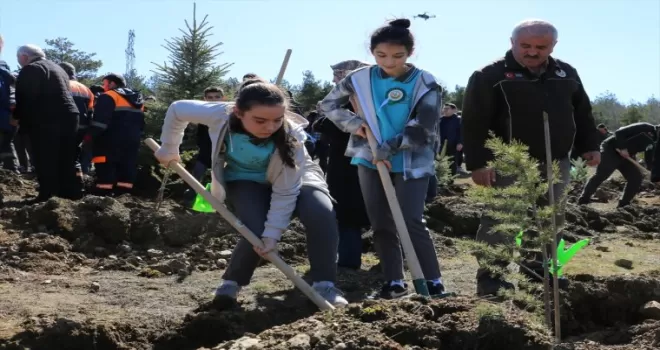 Kastamonu ve Sinop’ta “6 Şubat Deprem Şehitleri Hatıra Ormanı“ oluşturuldu