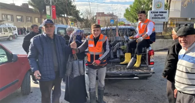 Kavak'ta vatandaşlara ücretsiz fidan dağıtıldı