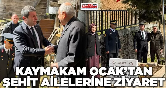 KAYMAKAM OCAK’TAN ŞEHİT AİLELERİNE ZİYARET