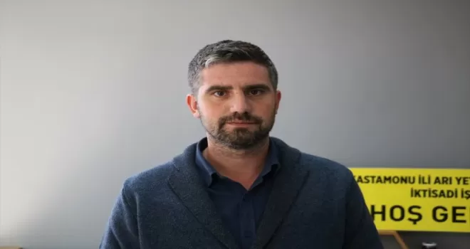Kış uykusuna yatamayan ayılar arı kovanlarına dadandı