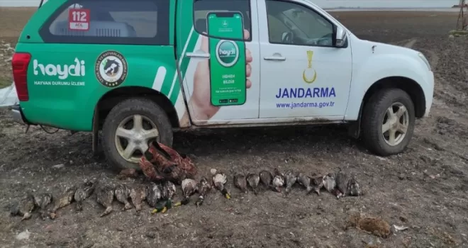 Kızılırmak Deltası Kuş Cenneti'nde kaçak avcılık yapan 2 kişi yakalandı
