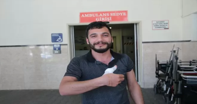 Kocaeli, Sakarya, Bolu ve Bartın’da “acemi kasaplar“ hastanelik oldu