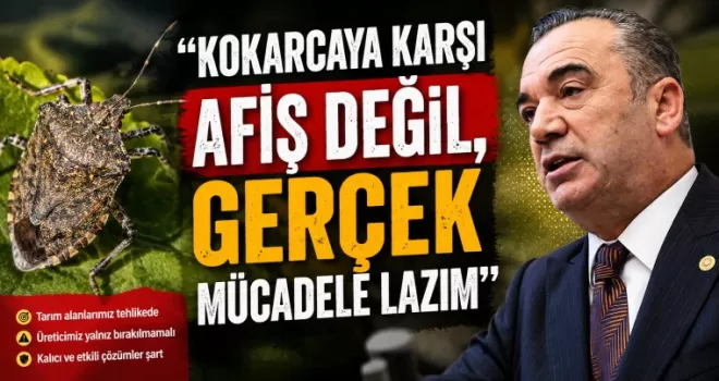 “Kokarcaya karşı afiş değil, gerçek mücadele lazım”