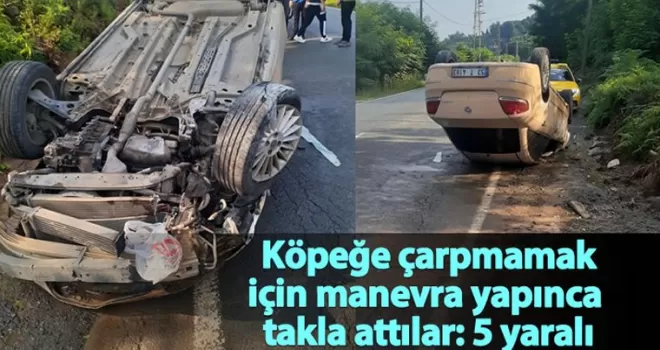 Köpeğe çarpmamak için manevra yapınca takla attılar: 5 yaralı