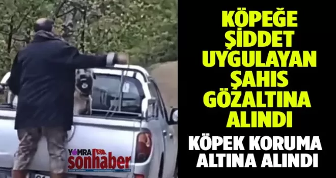 Köpeğe şiddet uygulayan  şahıs gözaltına alındı