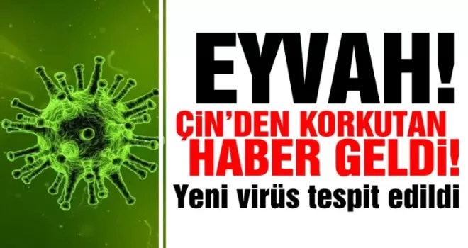 Korkutan haber! Çin’de yeni virüs tespit edildi