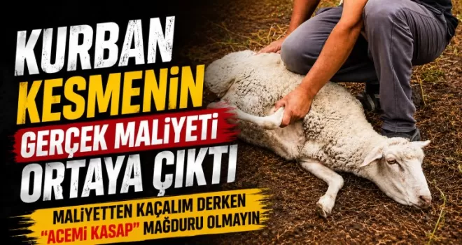 Kurban Kesmenin Gerçek Maliyeti Ortaya Çıktı