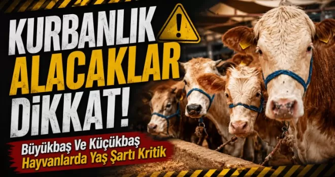 Kurbanlık Alacaklar Dikkat!