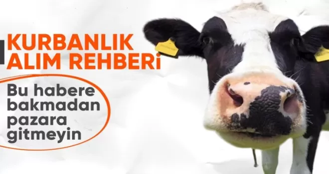 Kurbanlık seçerken nelere dikkat edilmeli