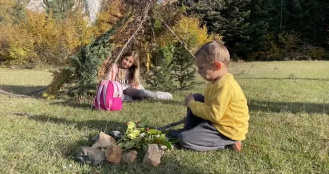 Küre Dağları'na sonbaharın renkleri hakim oldu