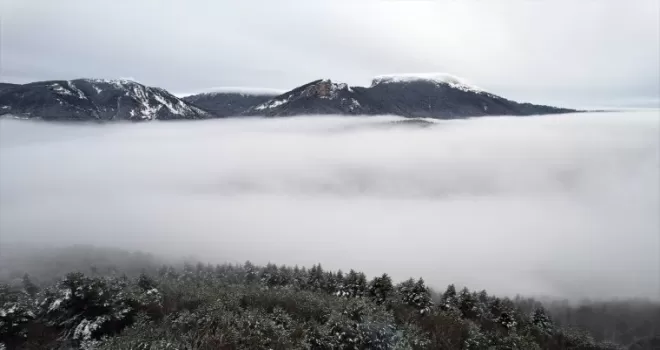 Küre Dağları'nda kar ve sis etkili oldu