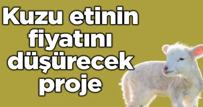 Kuzu etinin fiyatını düşürecek proje