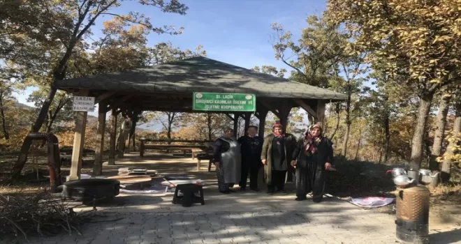 Laçin'de girişimci kadınlar Yeşil Göl'de gözleme satıp gelir elde ediyor