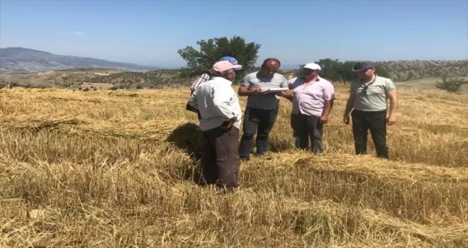 Laçin’de hububat hasadı yapan biçerdöverler dane kaybına karşı denetlendi