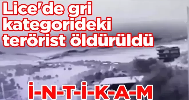 Lice’de gri kategorideki terörist öldürüldü