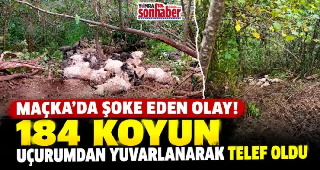 MAÇKA’DA ŞOKE EDEN OLAY! 