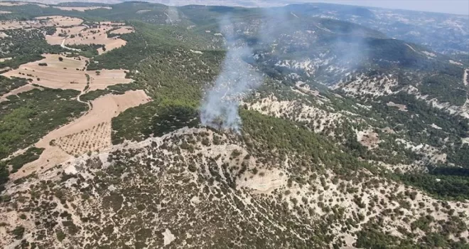 Manisa'nın Kula ilçesinde orman yangını çıktı
