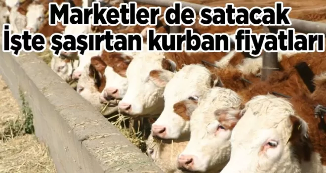 Marketler de satacak: İşte şaşırtan kurban fiyatları