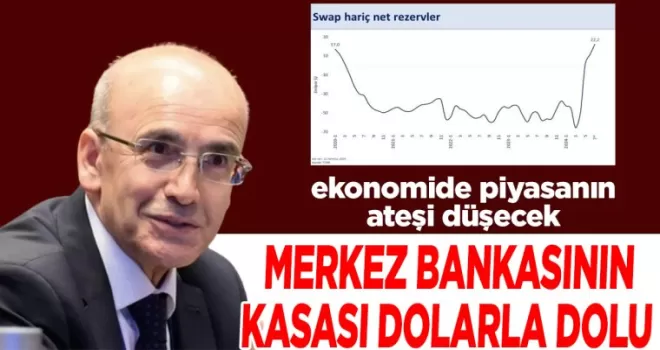 Mehmet Şimşek: Swap hariç net rezervle son 4,5 yılın zirvesinde